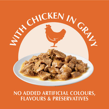 PURINA ONE Healthy Kitten with Chicken Wet Cat Food Purina